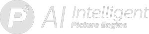 Picture-kuvaj&auml;rjestelm&auml;n logo